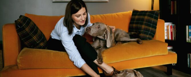 Woman sitting on a mustard sofa with her two Weimaraners, sharing a quiet moment at home